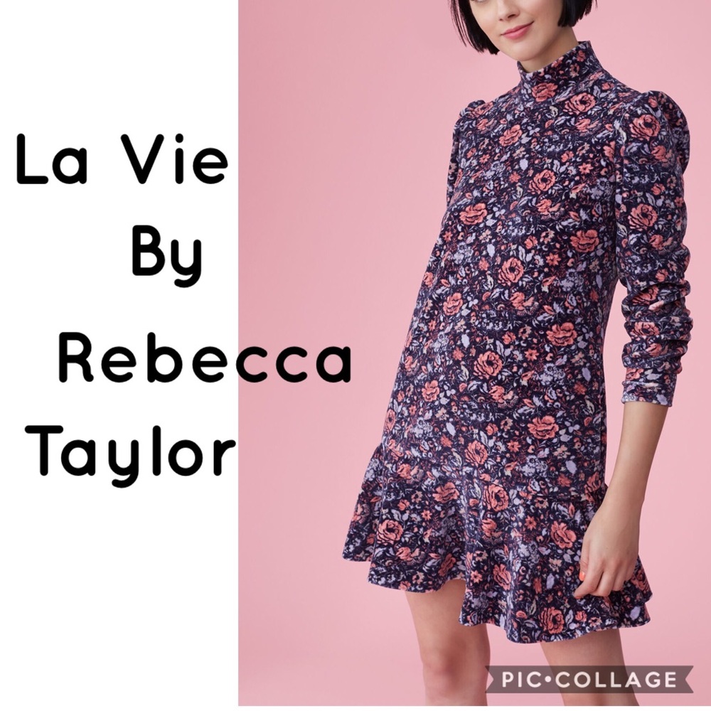 La Vie Rebecca Taylor Floral Drop Waist Dress